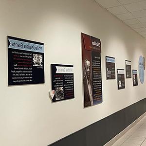 Negro League Baseball exhibit at Camden County College